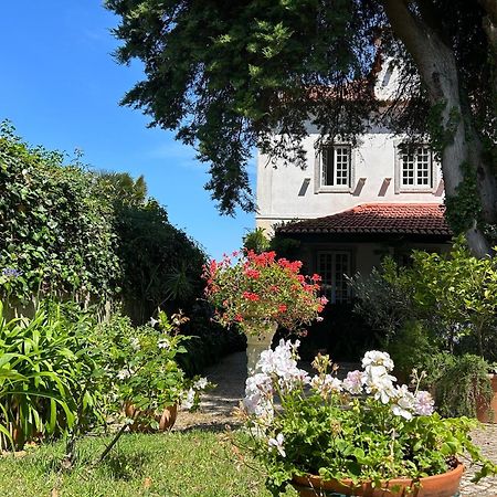 Villa Branca Jacinta Синтра Экстерьер фото