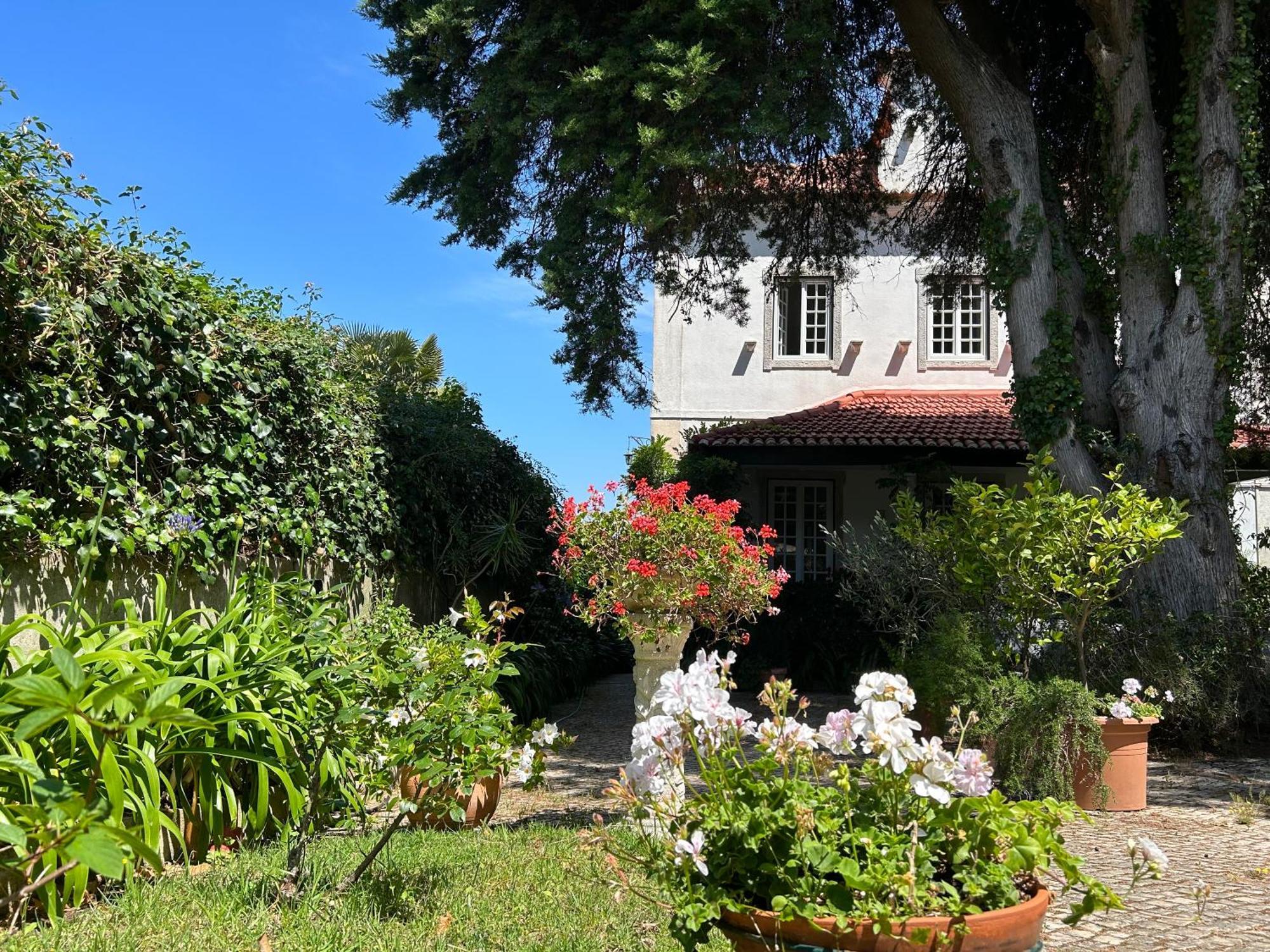Villa Branca Jacinta Синтра Экстерьер фото